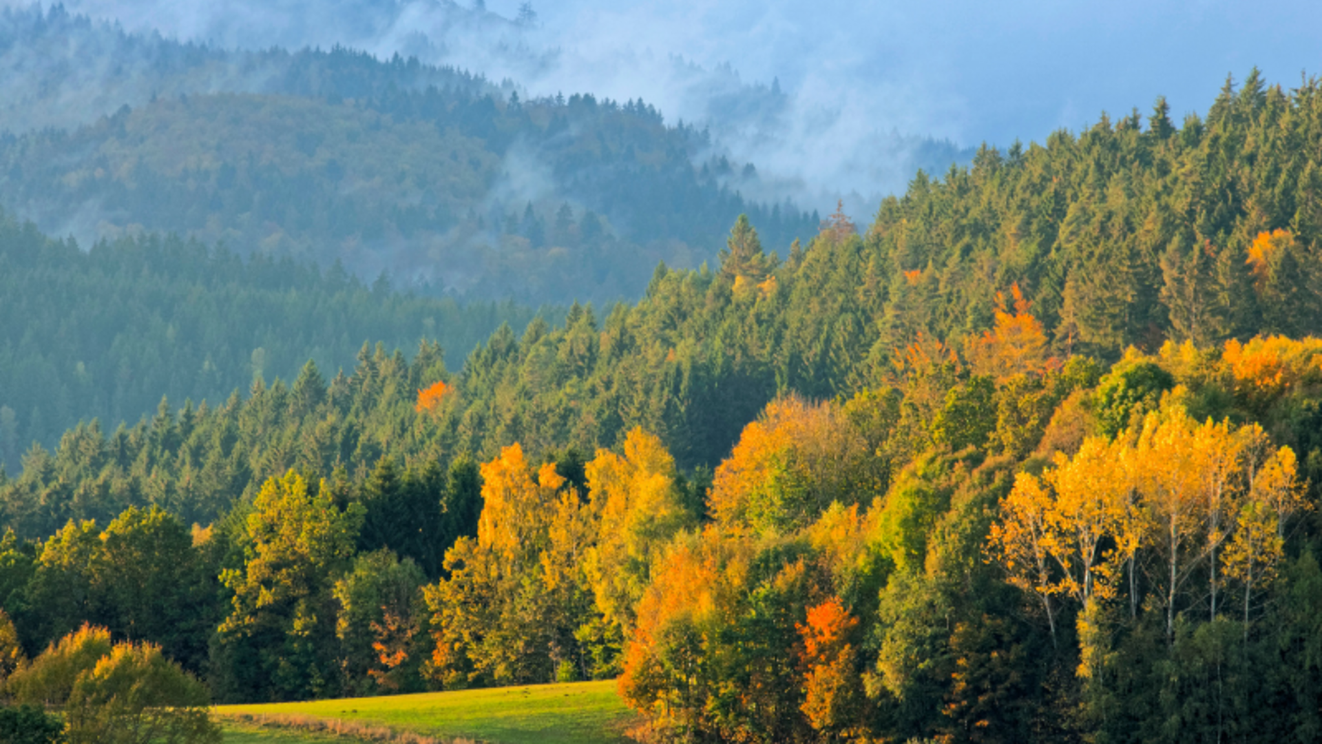 Herbsturlaub im Bayerischen Wald Herbstwald auf Hügeln mit Nebel in den Bergen